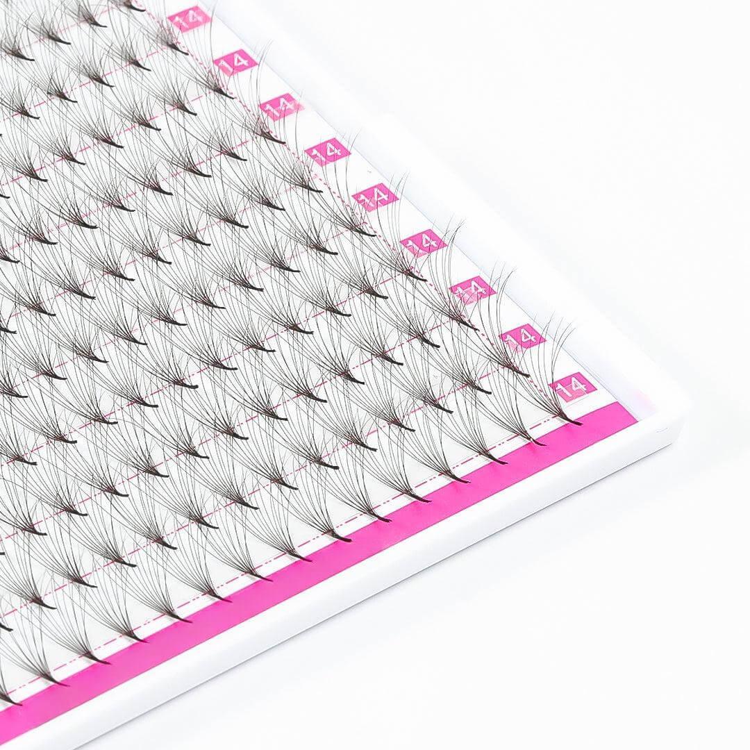 6D Double Layers Premade Volume Fans Pointy Base